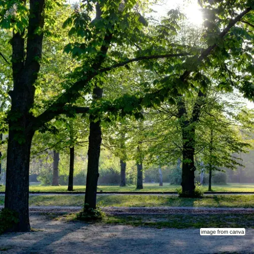 Beranda 38 Fasilitas Perumahan Alana Regency Group 6